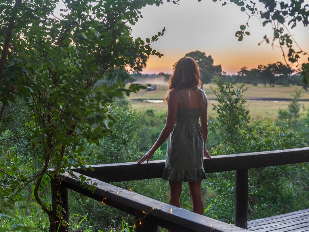Sabi Sabi Package Pay 3 Stay 4 Enlightenment Nature Sabi Sabi Package Pay 3 Stay 4 Enlightenment Nature