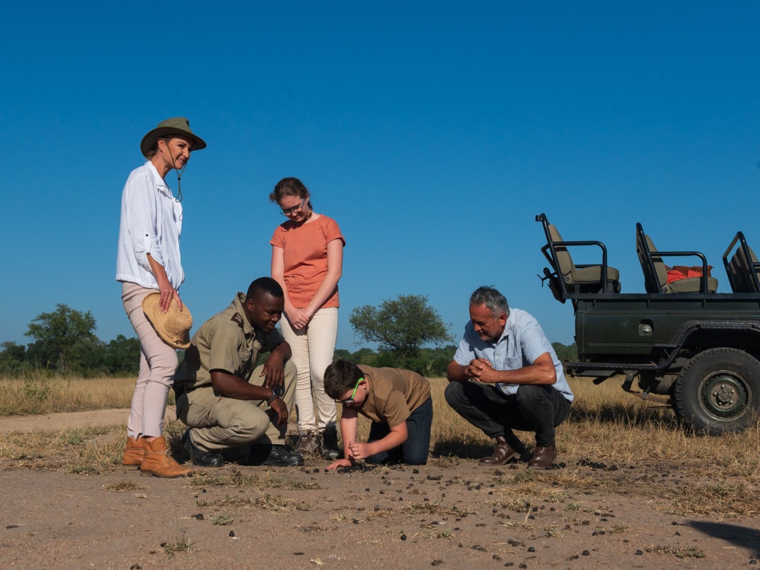 Sabi Sabi Bush Lodge Game Drive Familt Sabi Sabi Bush Lodge Game Drive Familt