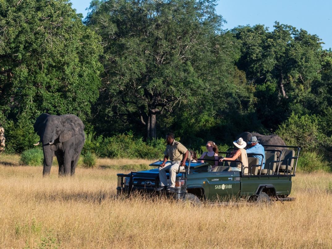 Sabi Sabi Package Pay 3 Stay 4 Memories Experience Sabi Sabi Package Pay 3 Stay 4 Memories Experience