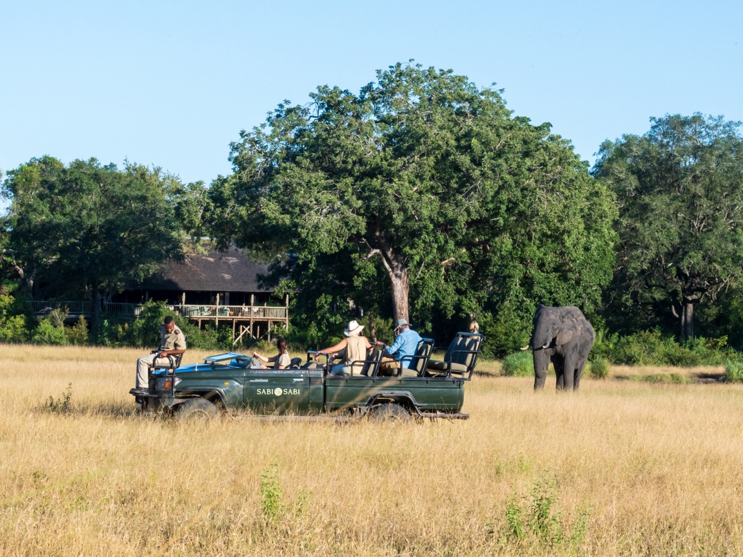 Sabi Sabi Bush Lodge Safari Game Drive Elephant Sabi Sabi Bush Lodge Safari Game Drive Elephant