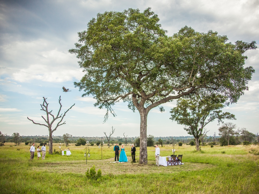 The Sabi Sabi wedding experience at exceptional locations. The Sabi Sabi wedding experience at exceptional locations.