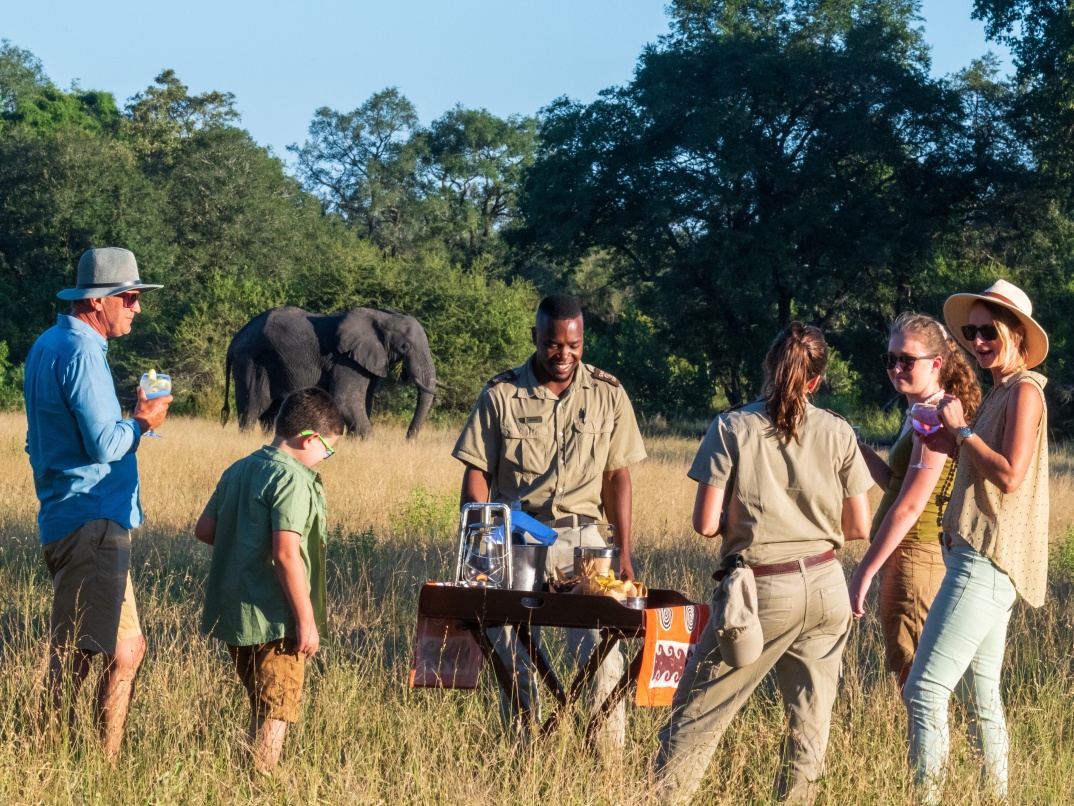 Delight in sundowners as majestic elephants captivate your view.