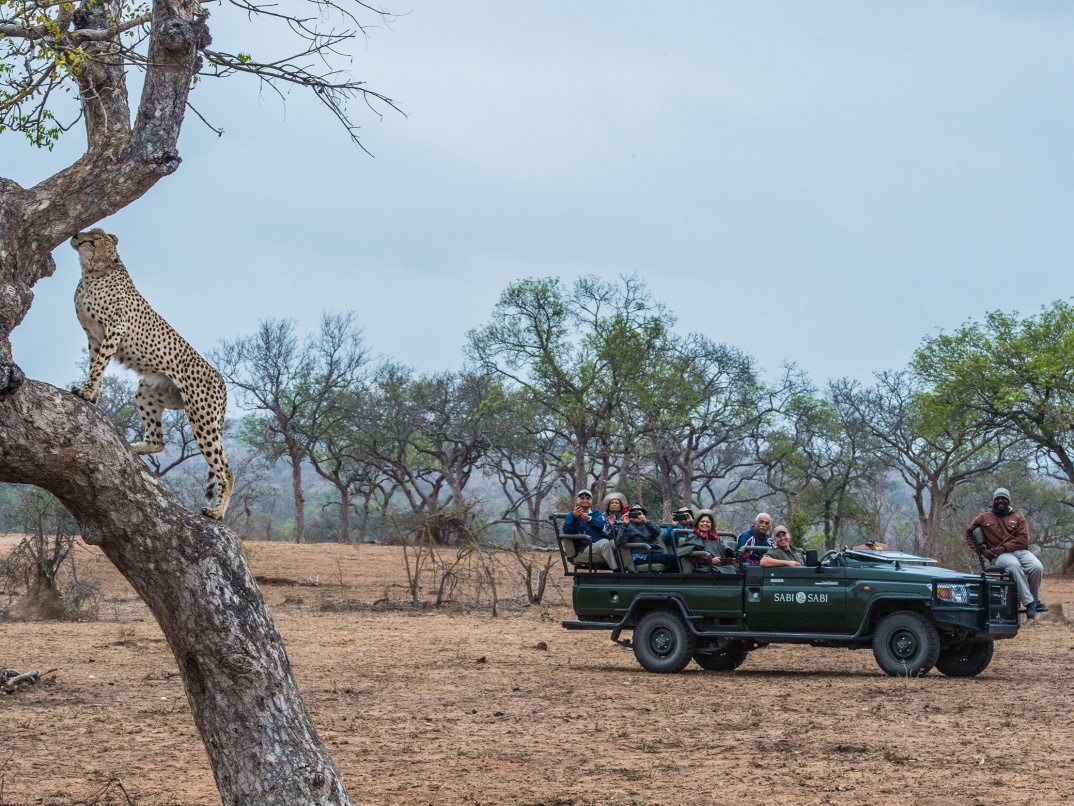 Sabi Sabi Package Pay 3 Stay 4 Video Thumbnail