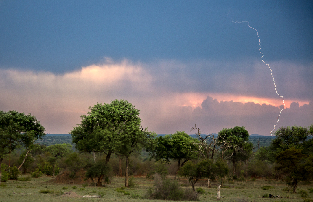Landscapes 80