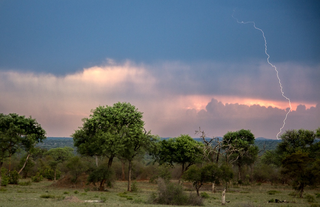 Afternoon thunderstorm at Sabi Sabi, nature's drama. Afternoon thunderstorm at Sabi Sabi, nature's drama.