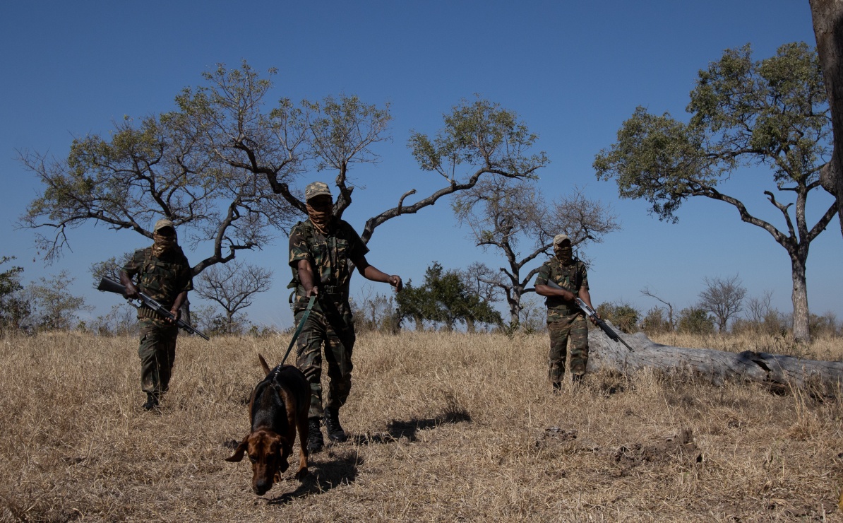 Sabi Sabi dedicated anti-poaching units providing human protection to endangered species from a distance.