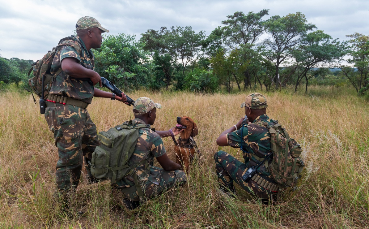 Dedicated anti-poaching units at Sabi Sabi bolster the safety of our animals.