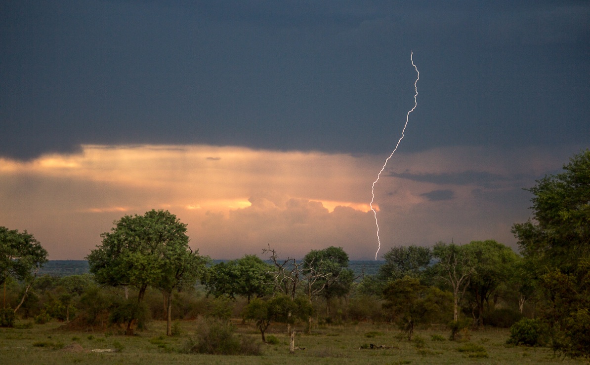Feel the awe of lightning striking in Sabi Sabi bush.