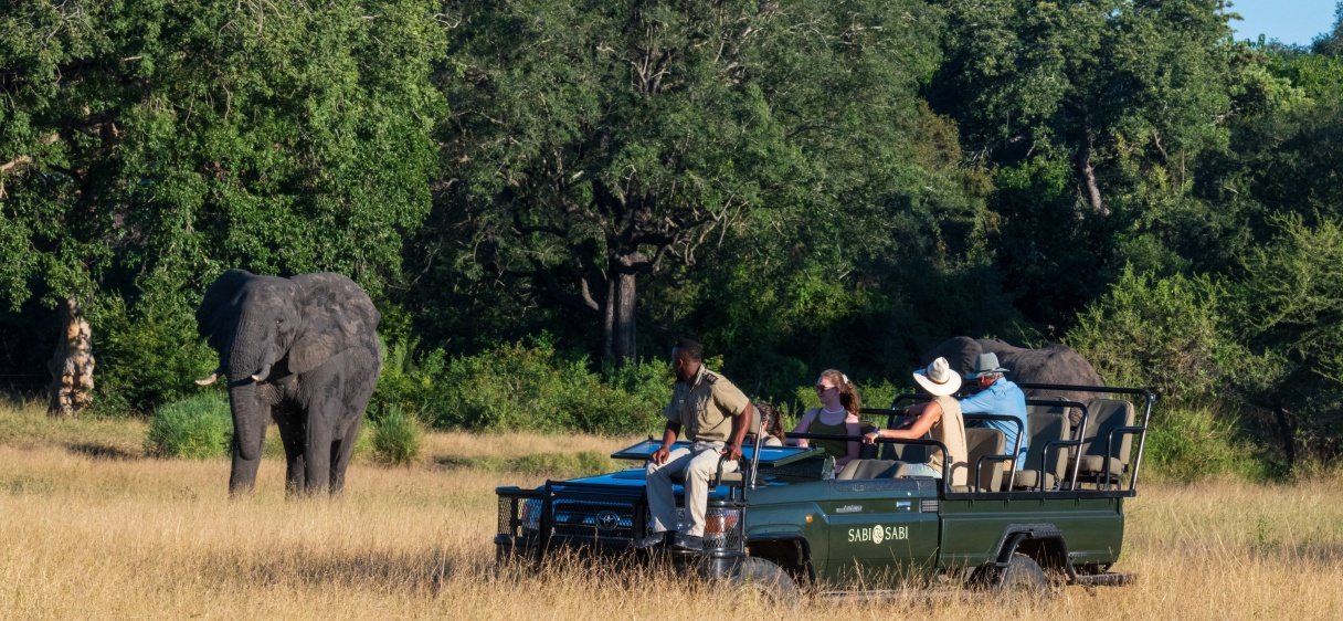 Guests on safari watching elephant