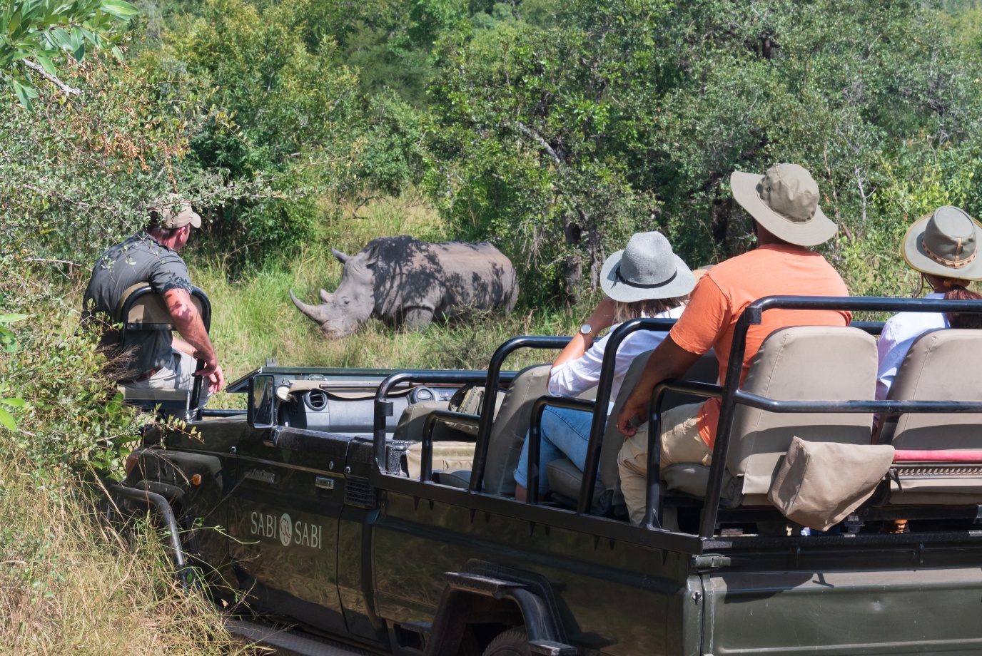 Guests observing a rhino during a safari game drive. Guests observing a rhino during a safari game drive.