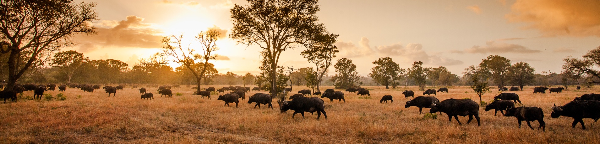 YPO 20 08 SABIBUSH JOHN 019