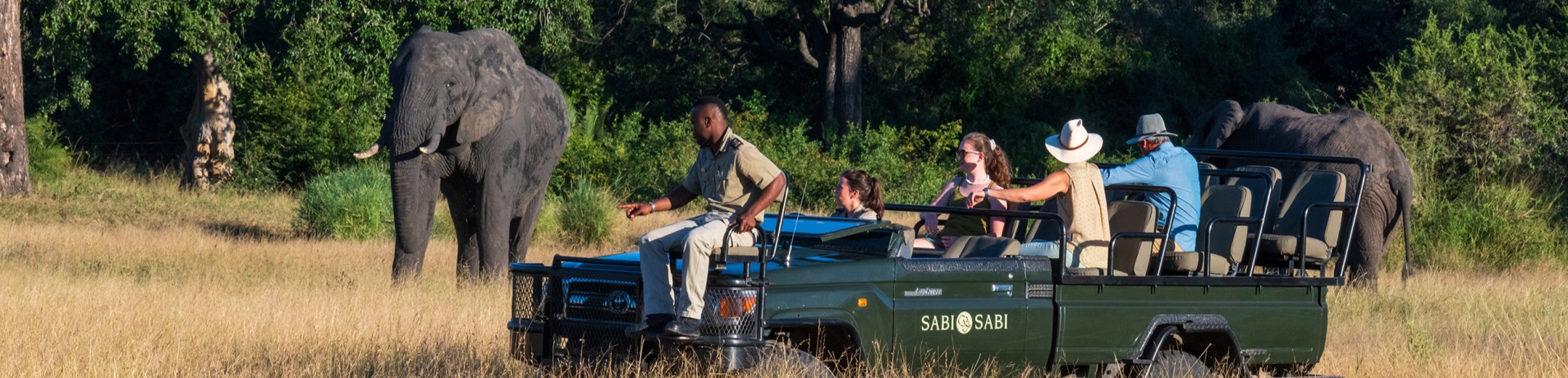 Sabi Sabi Package Family Banner Image