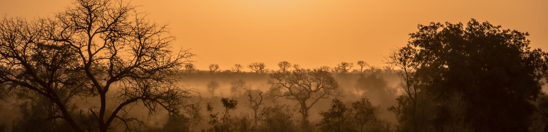 Landscapes  17