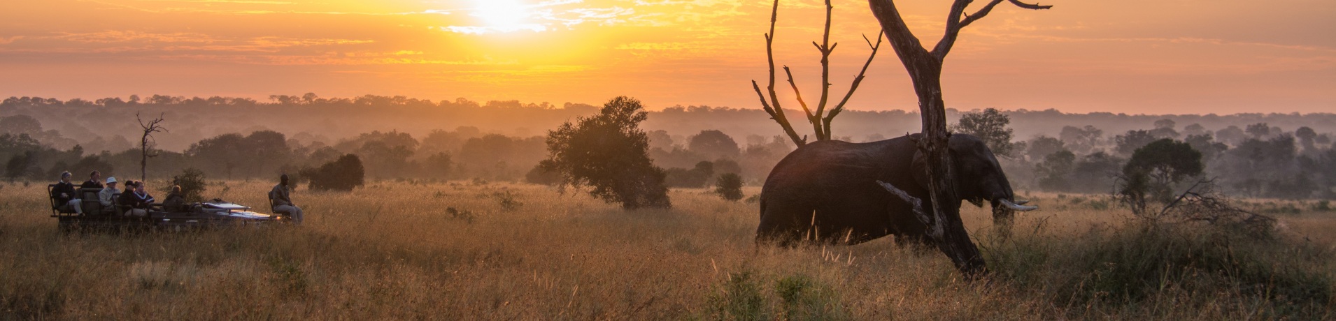 Ellie Sunrise 1 Of 1   High Res Smaller