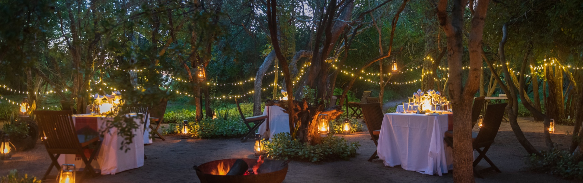 Indulge in magical starlit dining at Sabi Sabi, savoring every bite.