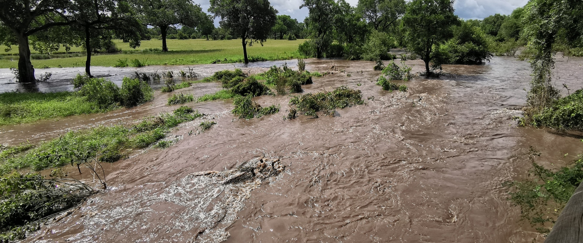 B02Daniel Greyvenstein   Floods   080223   1