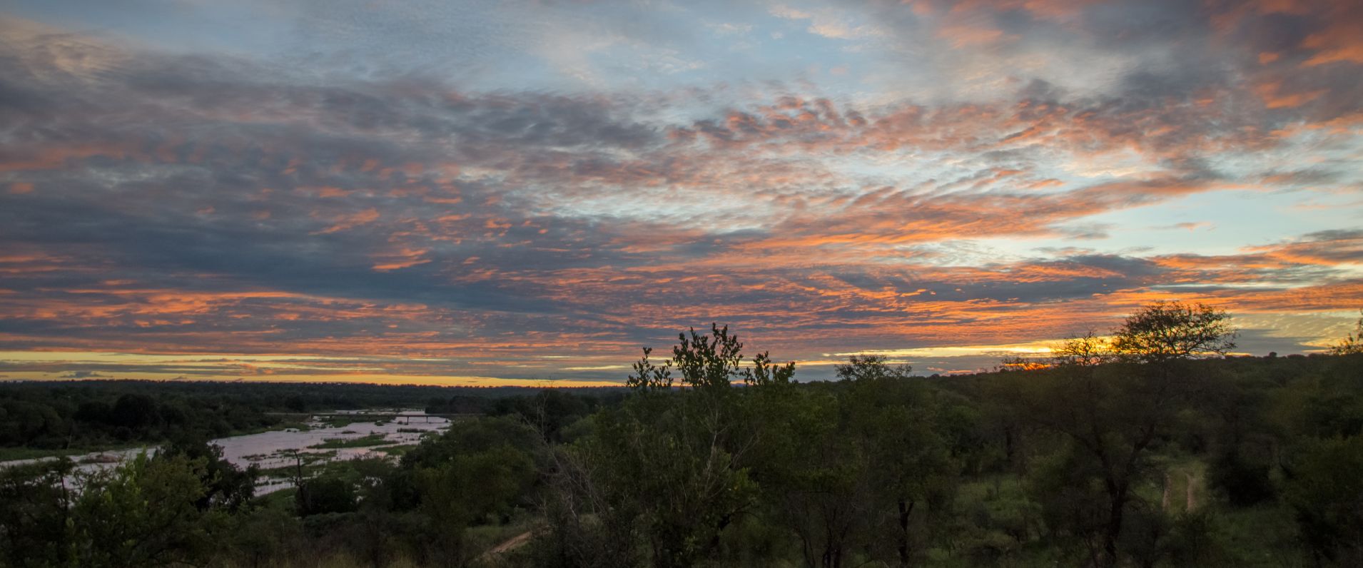 Landscapes  59