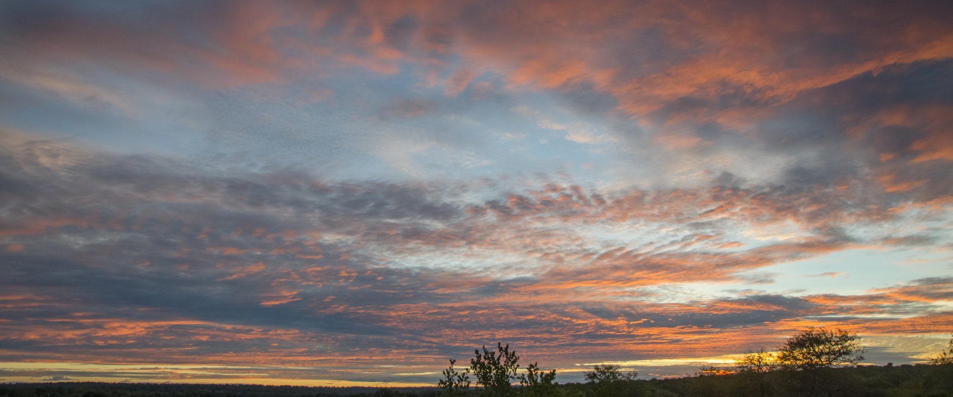 Witness the sun's majesty on a private Sabi Sabi game drive, an unforgettable experience. Witness the sun's majesty on a private Sabi Sabi game drive, an unforgettable experience.