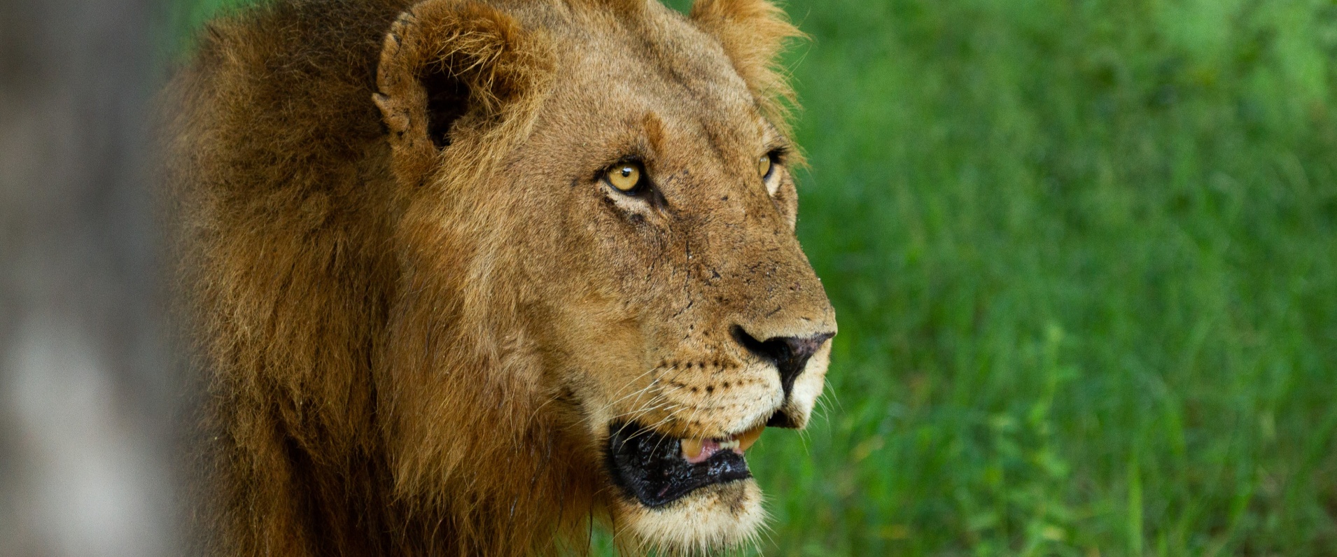 Dieter Lategan Unknown 050323 02 1 Of 1