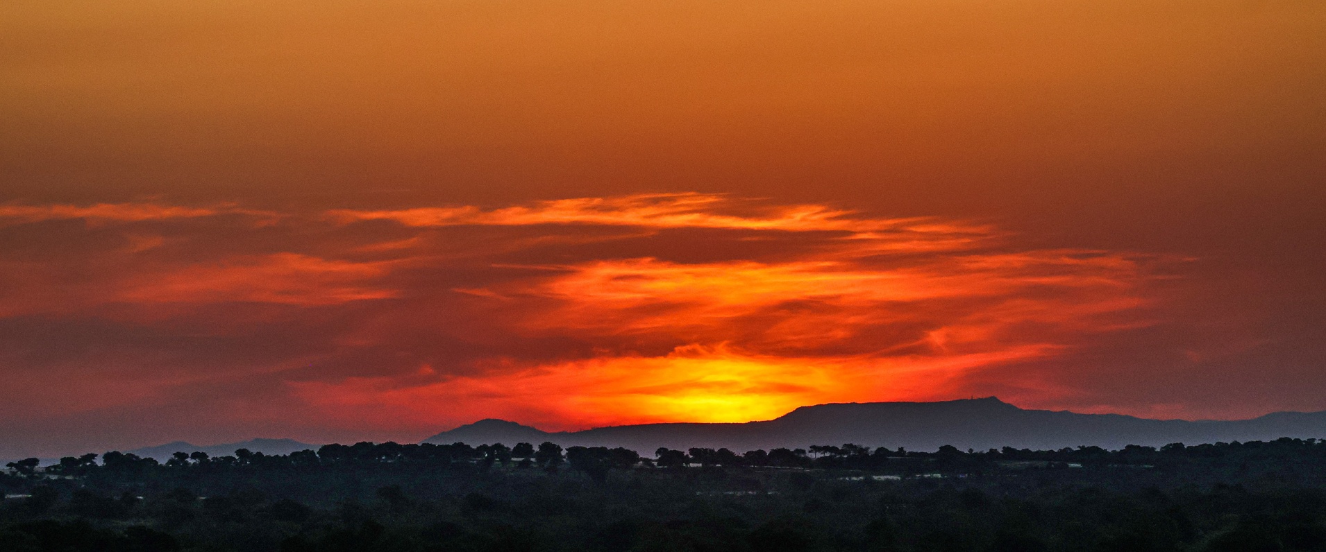 Sabi Sabi Ruan Mey Sunset Banner Sabi Sabi Ruan Mey Sunset Banner