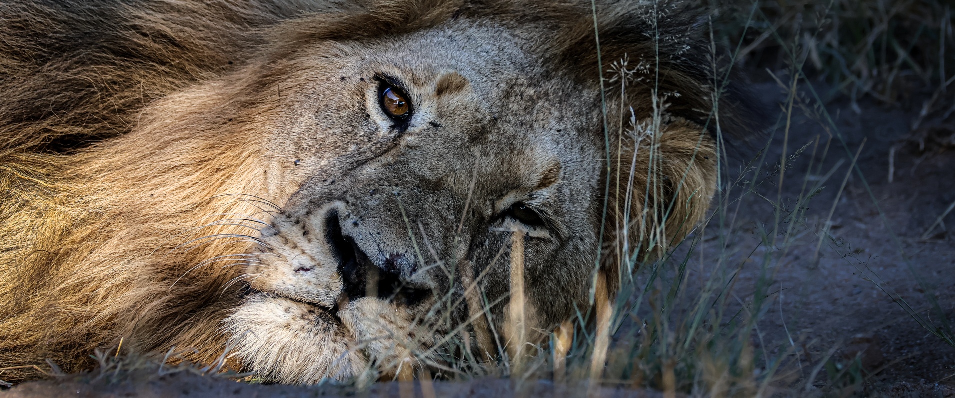 Coenraad Stapelberg Gijima 130423 6
