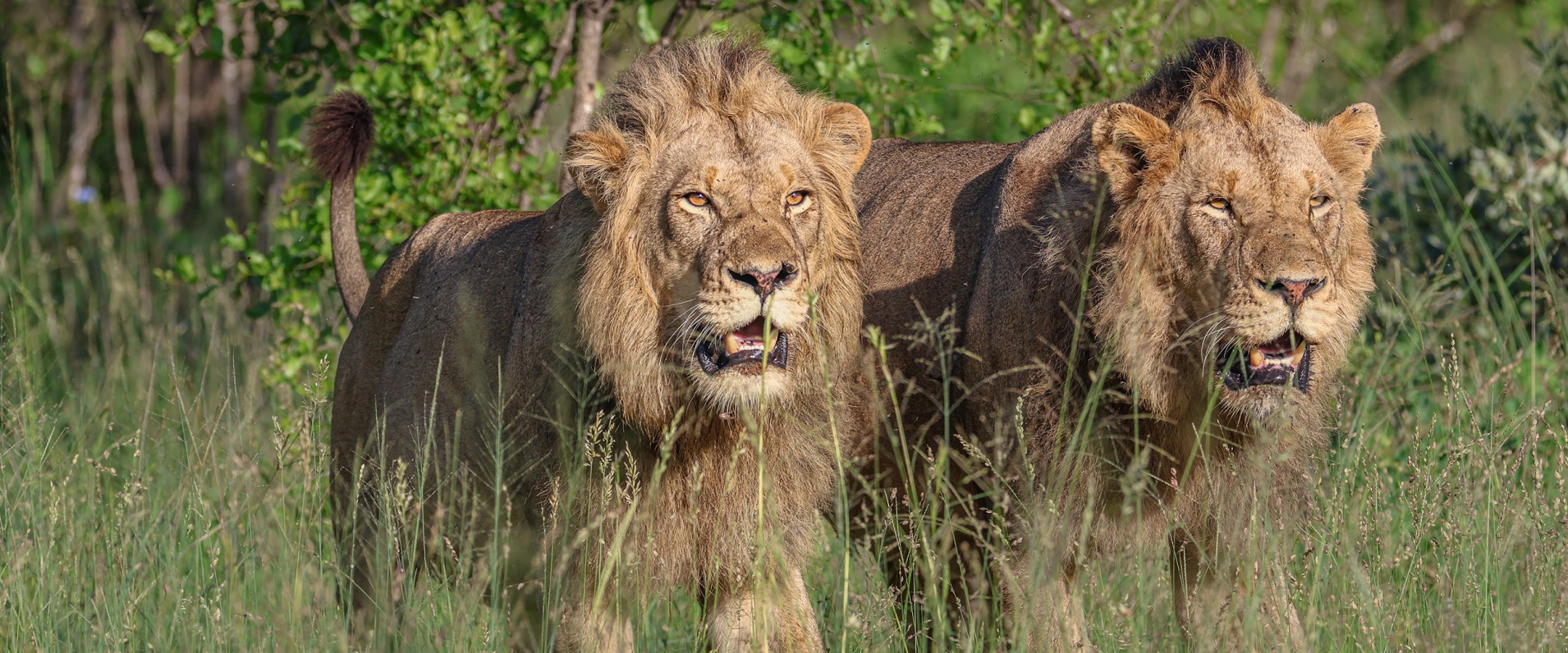 Six-Week Recap: Embracing the Rythym of the Rains