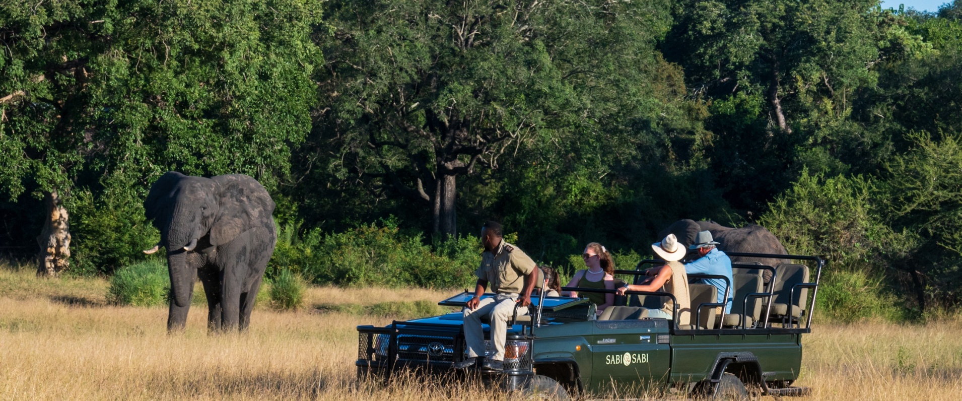 Amazing elephant sighting during a game drive at Sabi Sabi. Amazing elephant sighting during a game drive at Sabi Sabi.