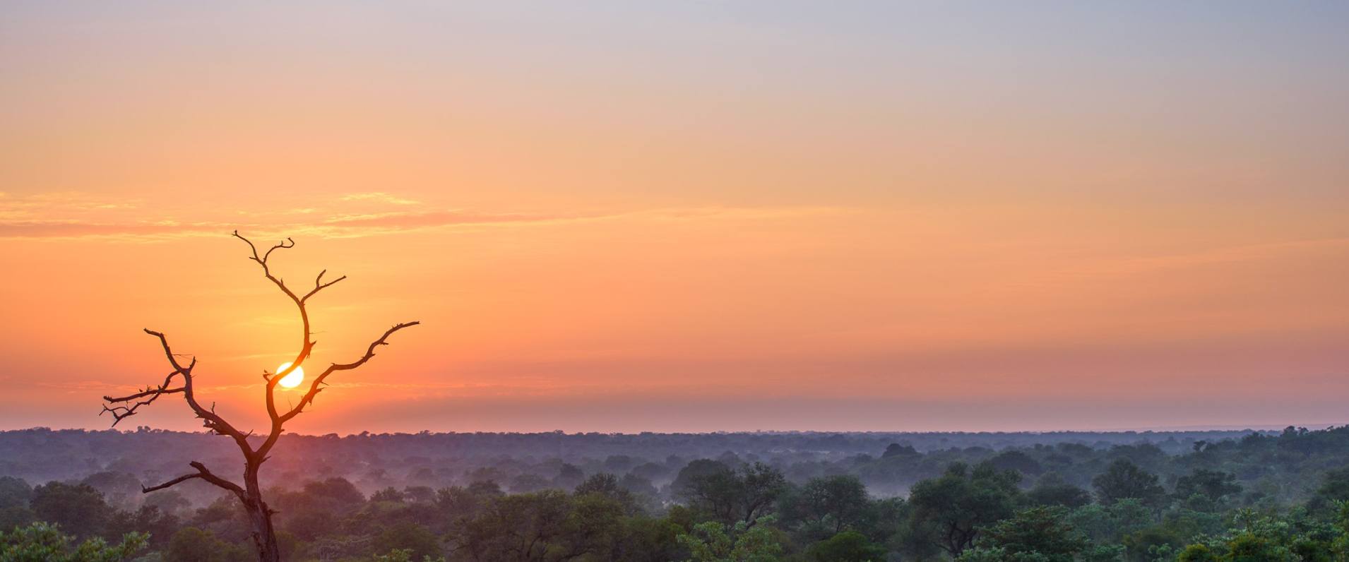 Sabi Sabi Collection Sunrise Sabi Sabi Collection Sunrise