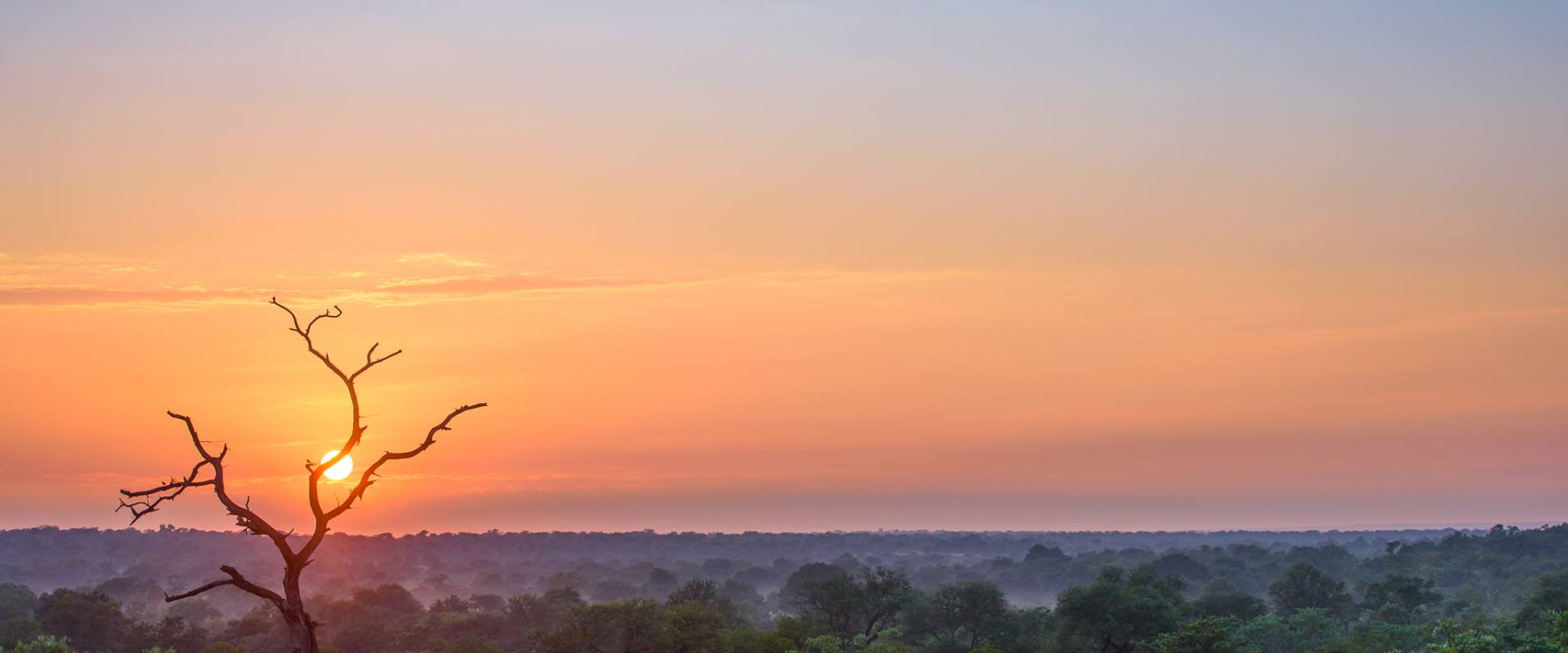 Beautiful red sunrise experience at Sabi Sabi Private Game Reserve.