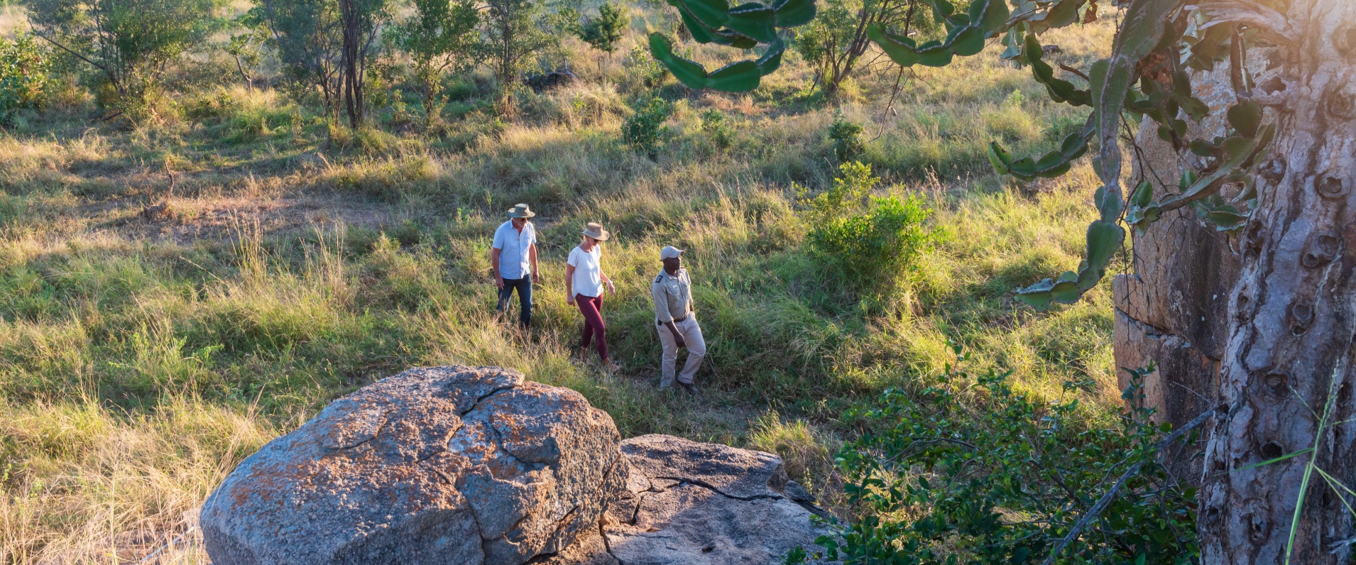 Enjoy a rejuvenating safari walk with an experienced Sabi Sabi guide.