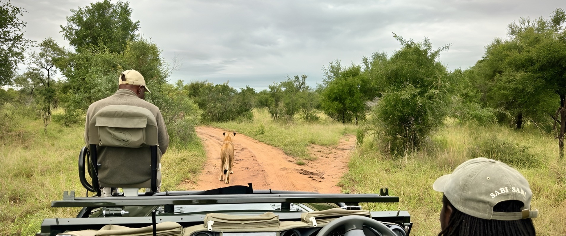 Sabi Sabi Guides Banner