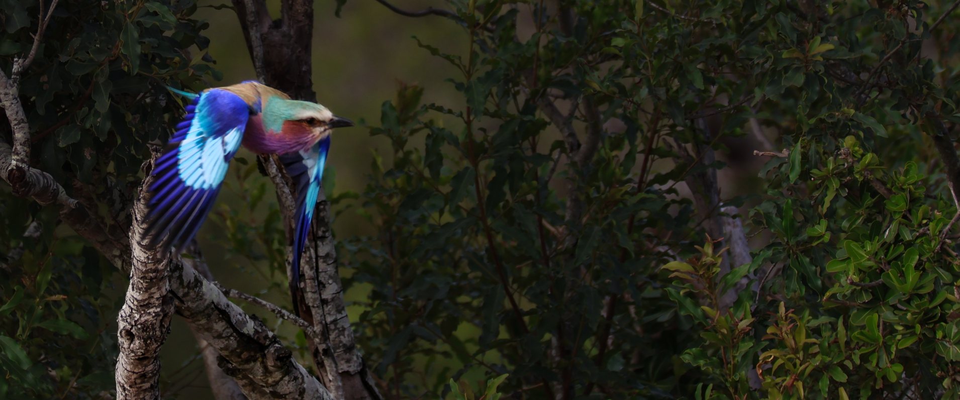 Coenraad Stapelberg LBR 040922 1