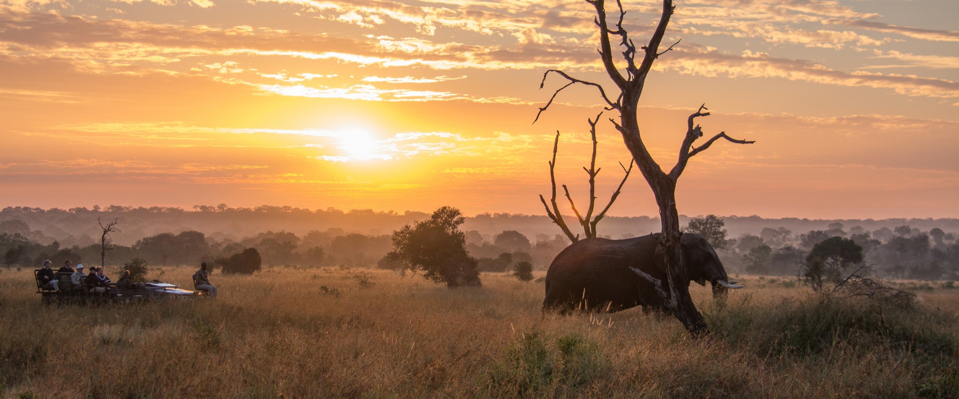 Awe-inspiring sunsets during game drives in the Sabi Sands.