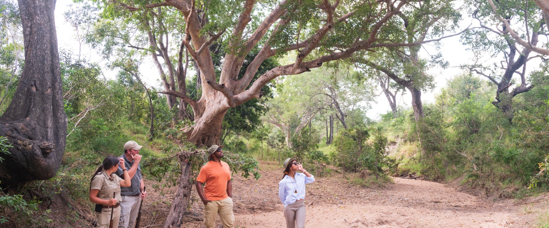 Guests on a walking safari exploring the Sabi Sabi reserve.