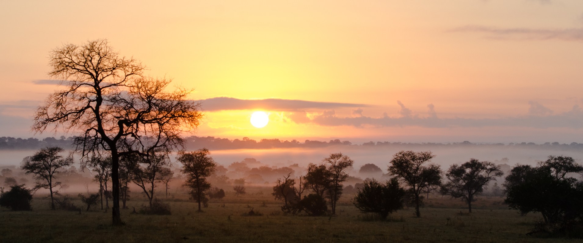 Embrace dawn's beauty with a sunrise at Sabi Sabi Private Game Reserve.