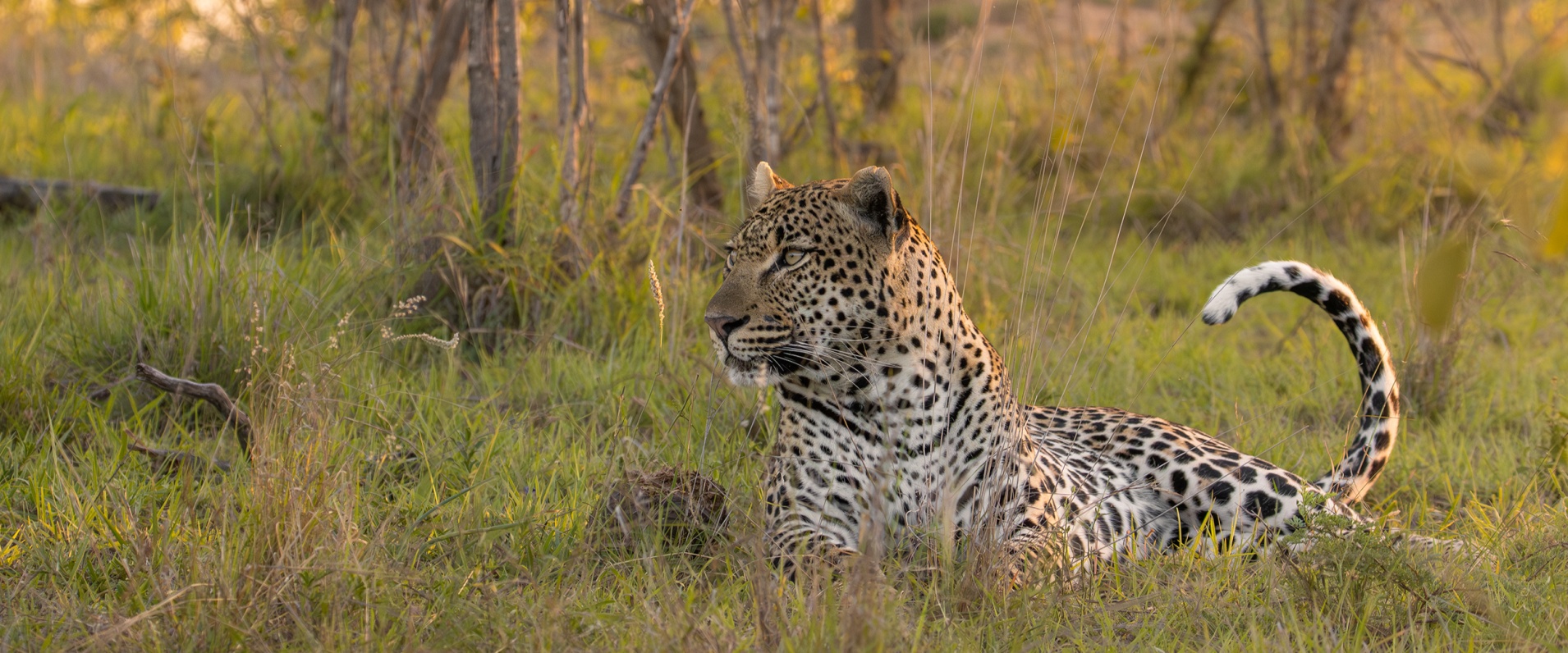 A Week in the Bush Vol. 480 