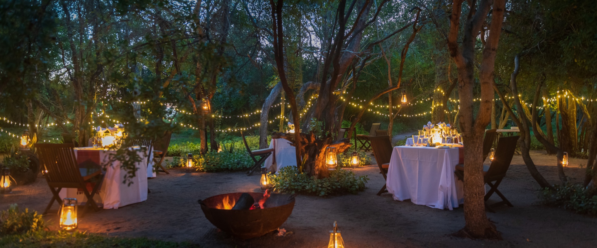 Indulge in magical starlit dining at Sabi Sabi, savoring every bite. Indulge in magical starlit dining at Sabi Sabi, savoring every bite.