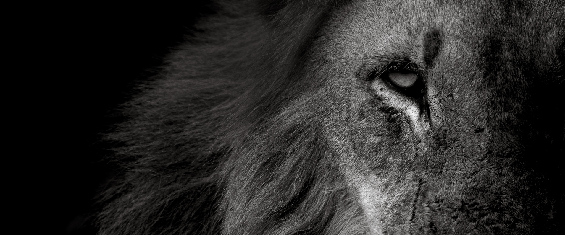 Ally Ross 20230130 Kambula Yongsters 04 BW HR