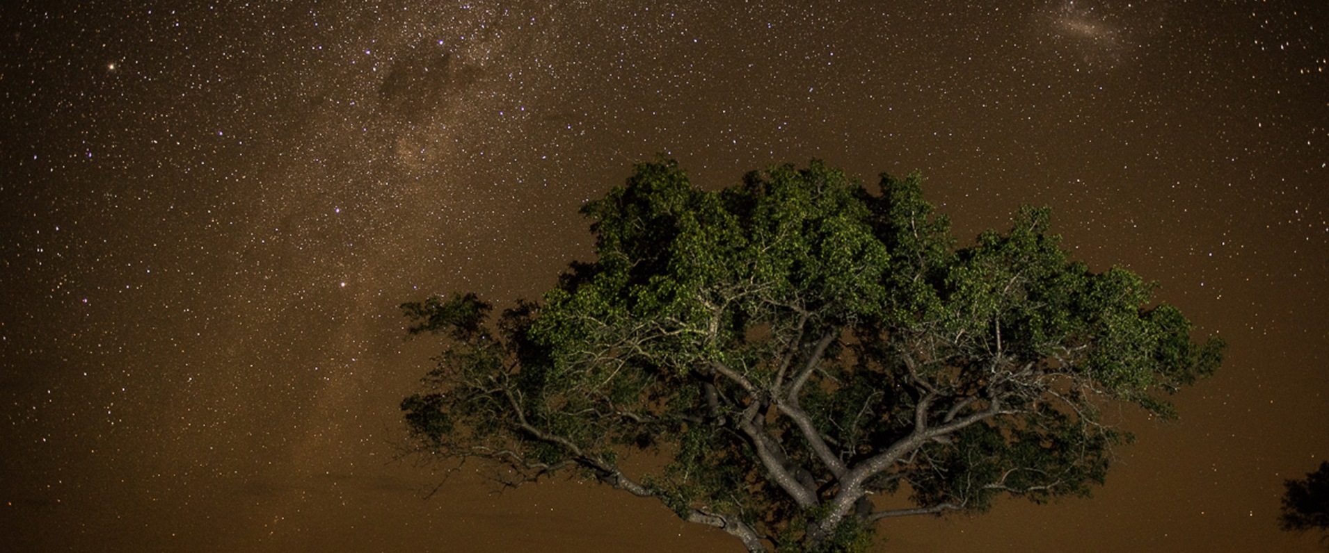 Sabi Sabi Transition Season Night Sky