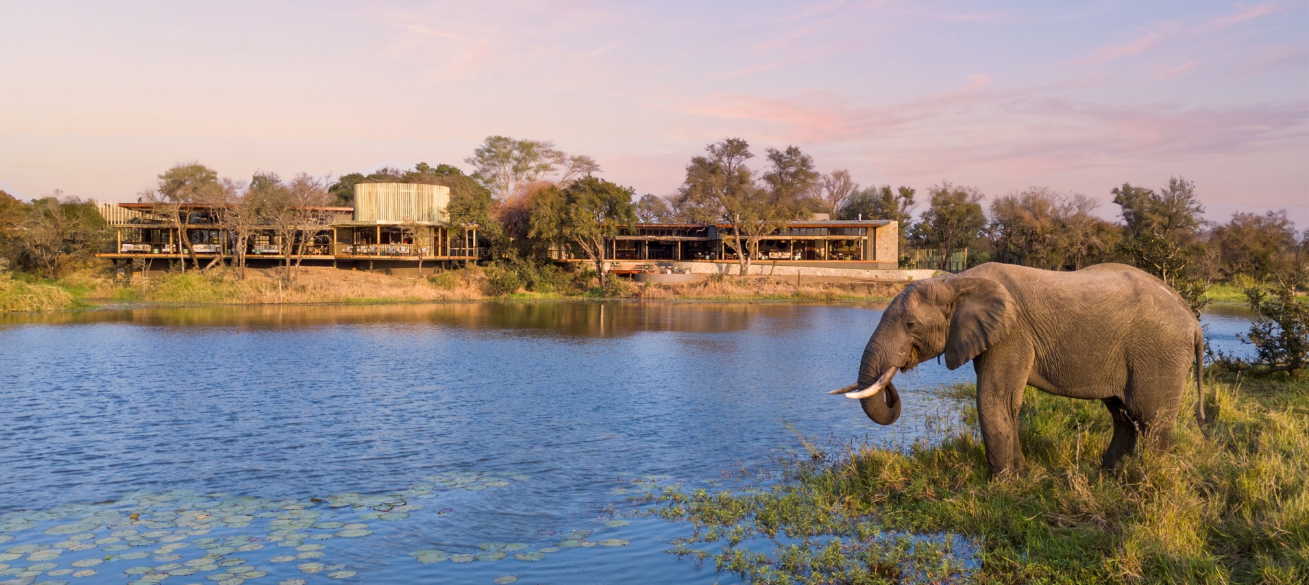Sabi Sabi Collection Sandringham Pgr Main Lodge