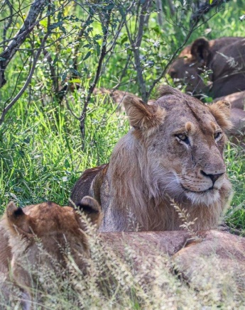 Styx Pride Ruan Mey Styx Pride Ruan Mey