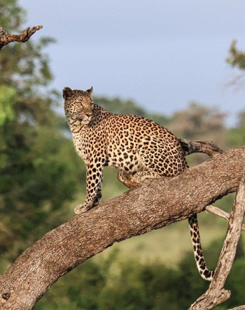 A08Coenraad Stapelberg Kigilia 070323 1