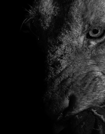 JP Van Rooyen Southern Avoca