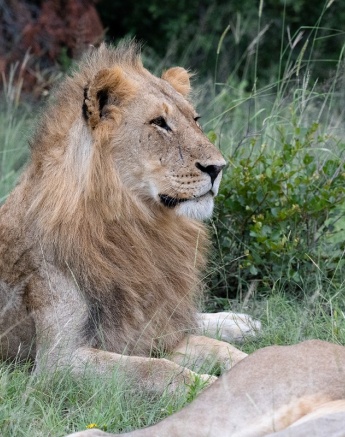 A10Daniel Greyvenstein   Kambula Breakaway   310123   1 Final