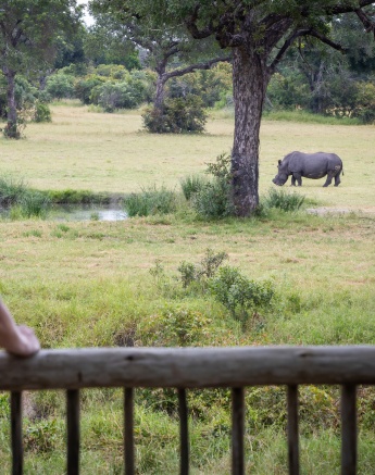 From the Sabi Sabi Bush lodge deck, a guest observes a rhino near a water source