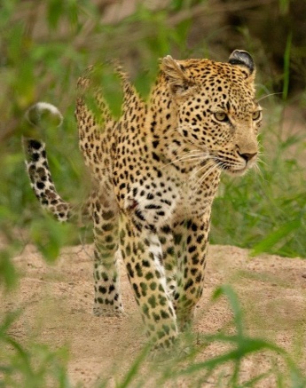 A12ronald Mutero   Keegelia   02032023 3