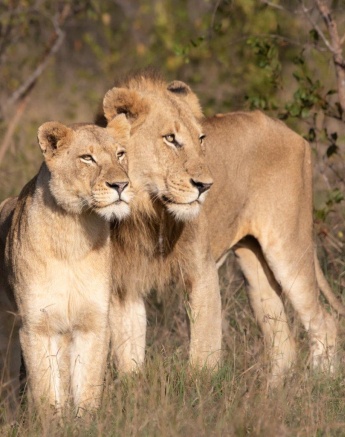 A17Jason Street   Kambula   220523   2