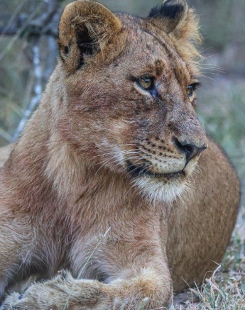 The contact calling got closer  The contact calling got closer