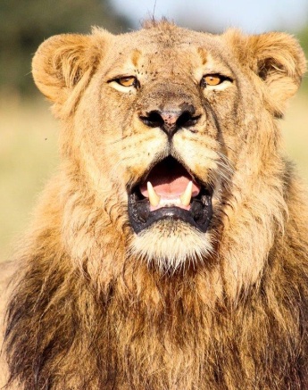 A11Ruan Mey Talamati 150523 2