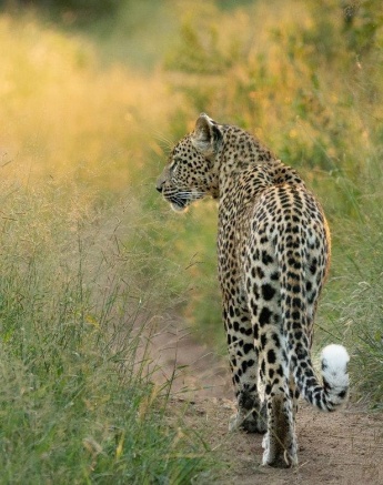 A14ronald Mutero   Golonyi   07032023 2